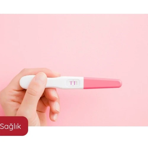 Gebelik Testi ürünleri ve fiyatları - greenporterotikshop.com